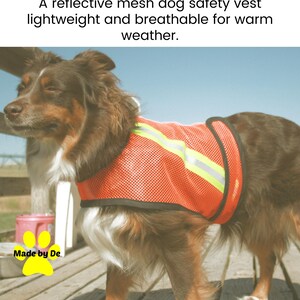 Brown dog wearing high visibility mesh dog vest with reflective strips.