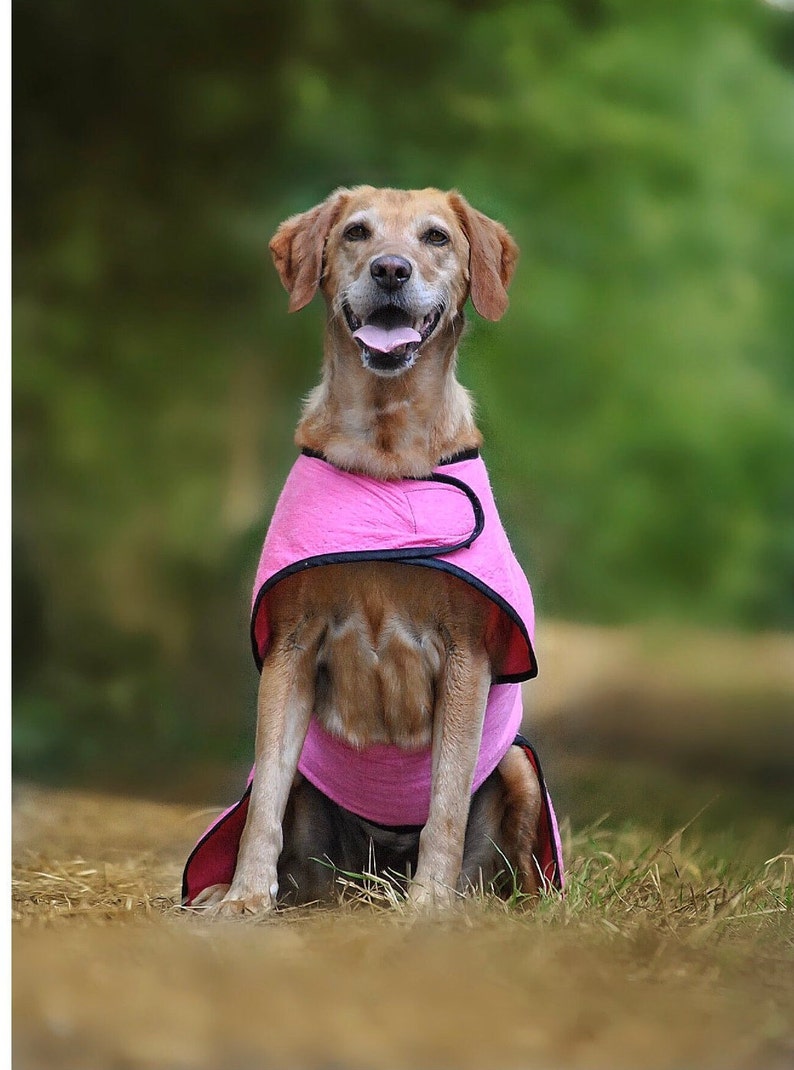 Dog Cool Coat Chiller Cool Coat Custom Dog Cooling Coat Dog Etsy