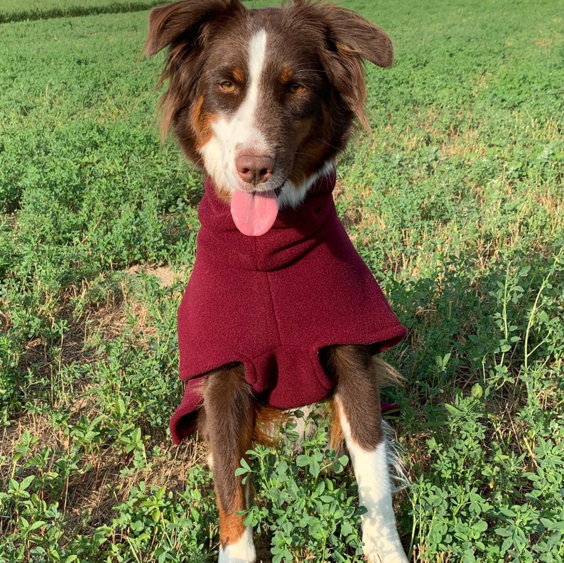 Fleece Dog Coat Ultra Fleece Dog Jacket Custom Dog Coat Etsy