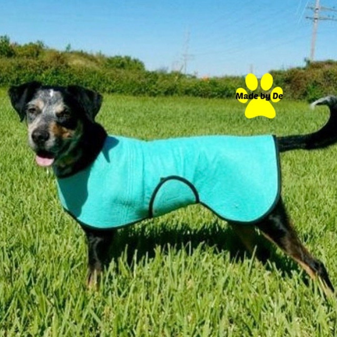 Dog Cool Coat and Collar, Chiller Cool Coat, Custom Dog Cooling Coat