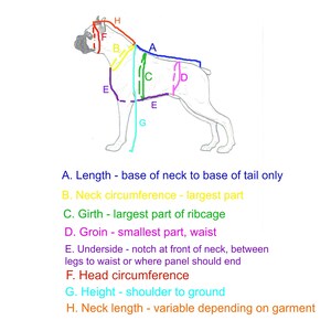 Diagram of a dog with measurements including length, neck circumference, girth, groin, underside, head circumference, height, and neck length. The text reads: 'A. Length - base of neck to base of tail only', 'B. Neck circumference - largest part', 'C. Girth - largest part of ribcage', 'D. Groin - smallest part, waist', 'E. Underside - notch at front of neck, between legs to waist or where panel should end', 'F. Head circumference', 'G. Height - shoulder to ground', 'H. Neck length