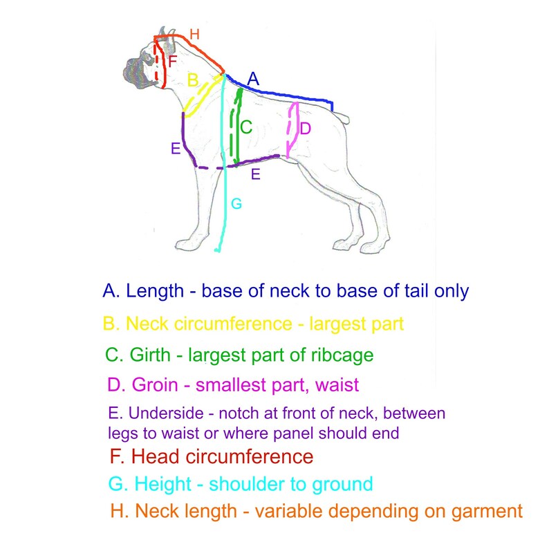 Diagram of a dog with measurements including length, neck circumference, girth, groin, underside, head circumference, height, and neck length. The text reads: 'A. Length - base of neck to base of tail only', 'B. Neck circumference - largest part', 'C. Girth - largest part of ribcage', 'D. Groin - smallest part, waist', 'E. Underside - notch at front of neck, between legs to waist or where panel should end', 'F. Head circumference', 'G. Height - shoulder to ground', 'H. Neck length