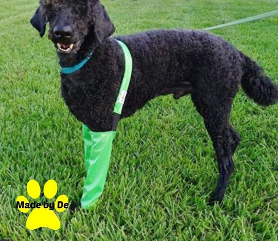 Dog Waterproof Leggings, Show Dog Gear, Dog Grooming 