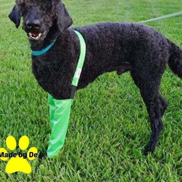Dog waterproof leggings, Show dog gear, Dog grooming