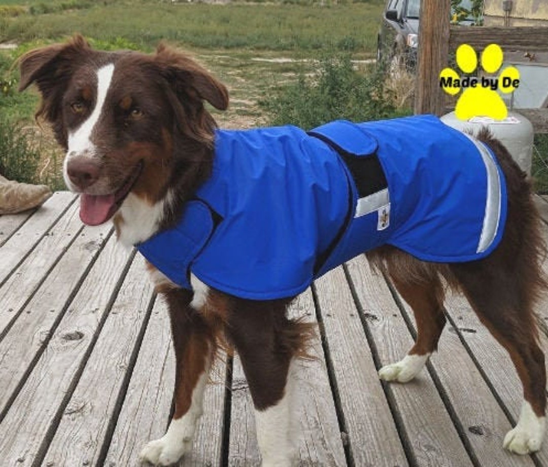 Winter Dog Coat, Ultra Plus Custom Dog Coat With Tummy Panel