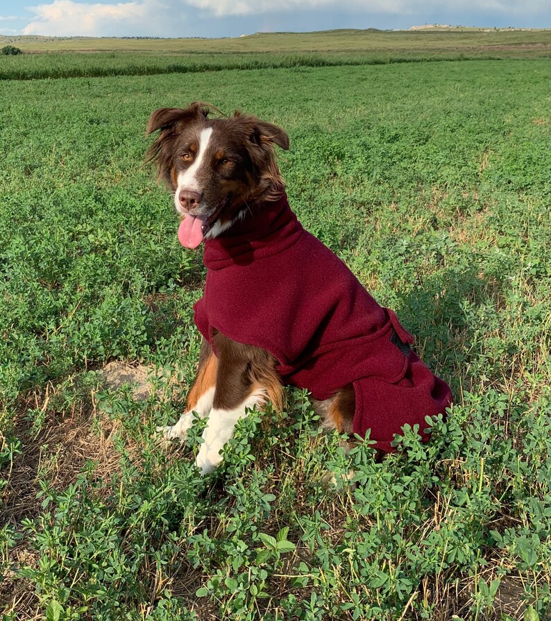 Fleece Dog Coat Ultra fleece dog jacket custom dog coat Etsy