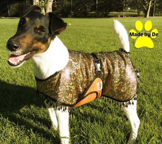 Cool coats for show dogs 2025