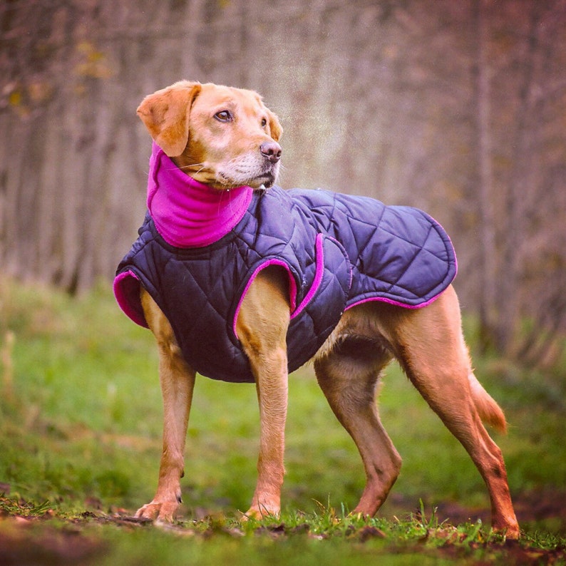 Winter Dog Coat Black Quilted Dog Coat With Turtleneck Etsy