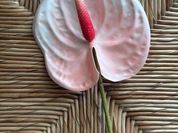 Real Touch Anthurium Hair Pick Flower Stem