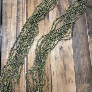 Long Mongo Shell Long Lei 60&quot; GREEN