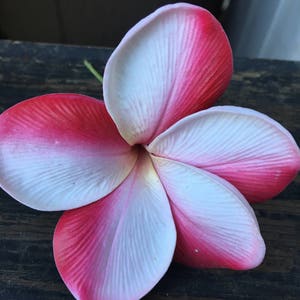 REAL TOUCH plumeria flower hairpick pick your color image 4
