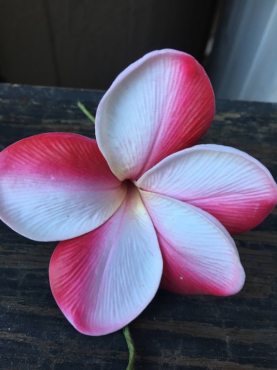 お値下中☆PLUMERIA※プロフ必読様 リクエスト 5点 まとめ商品 REAL TOUCH Plumeria Flower Hairpick - Pick Your Color - Etsy