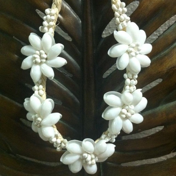 WHITE MONGO/BUBBLE shell necklace