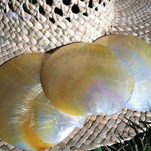 Gold Lip Mother of Pearl round shells 3.25”