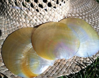 Gold Lip Mother of Pearl round shells 3.25”