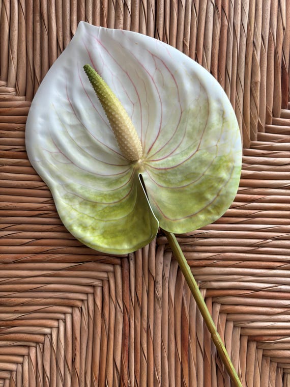Real Touch Anthurium Hair Pick Flower Stem