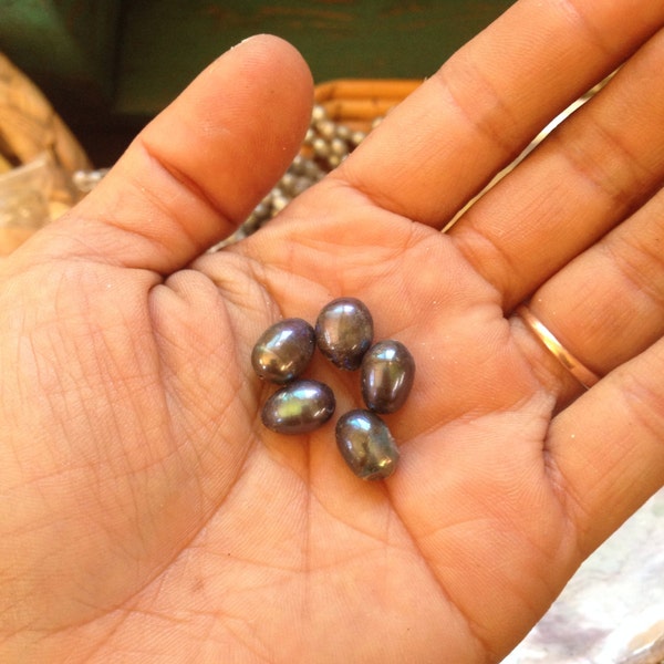 Small Black Fresh Water Pearls (5)