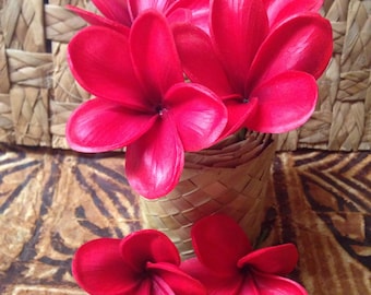 New Jelly Foam Plumeria hair picks