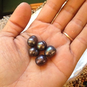 Big Lumpy Black Fresh Water Pearls 5 image 1