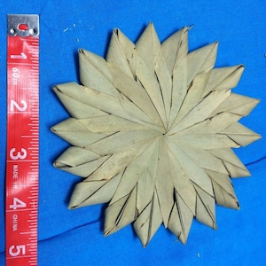 LAUHALA STAR 5&quot;