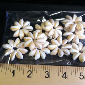 May include: A close-up of a bag of white and yellow cowrie shells. The shells are arranged in a circular pattern and are about 1 inch in diameter.