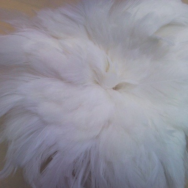 White Rooster Schlappen 3-5" long feathers, one foot