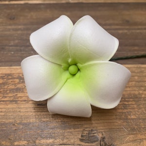 Foam Puakenikeni Hawaiian Flower Pick for Hair