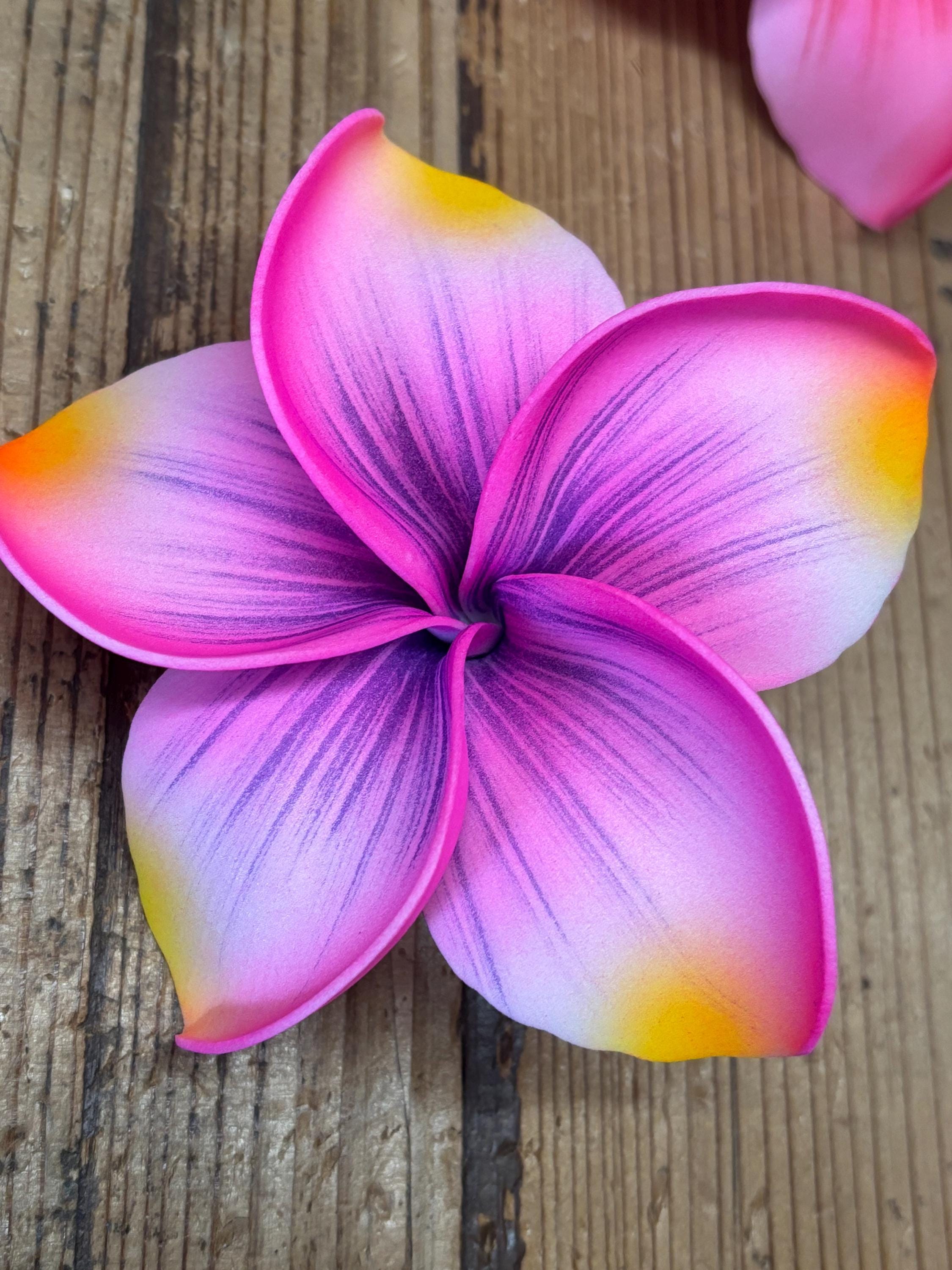 Pink Orange Plumeria - Etsy