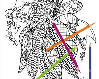 Indian Corn Adult coloring page