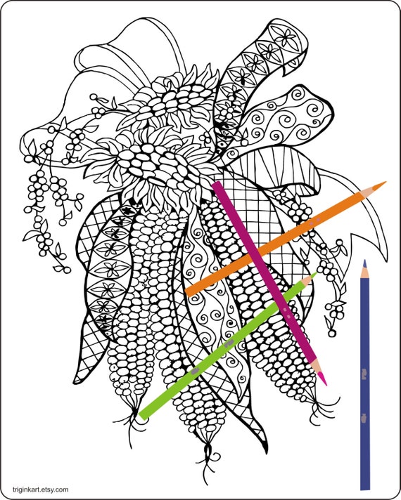 Indian Corn  Adult coloring page