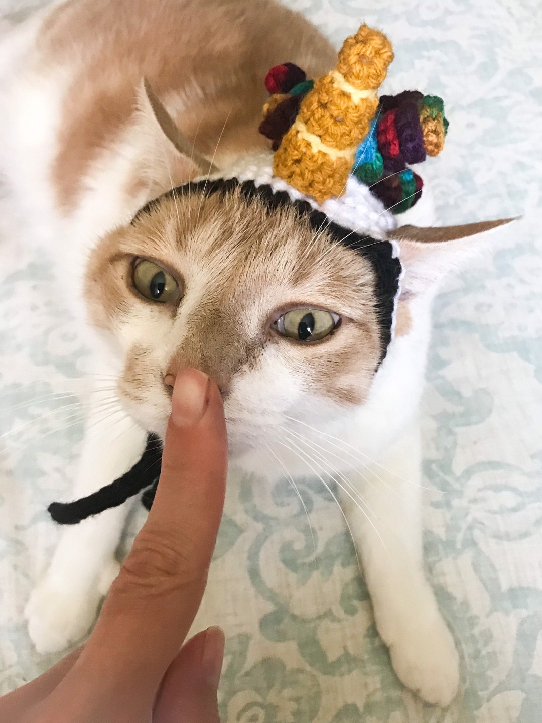 Unicorn Cat Hat, Pet Hat, Pet Accessories, Hat for Cats, Unicorn Cat - Main Image