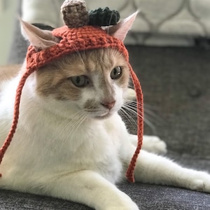 Pumpkin cat hat, pet hat, pet accessories, hat for cats, cat costume, gift for cats, pet clothing, crochet, cat Halloween costume, cat hat