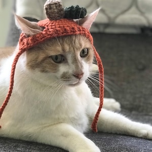 Chapeau de chat de citrouille, chapeau danimal familier, accessoires danimal familier, chapeau pour chats, costume de chat, cadeau pour chats, vêtements danimal familier, crochet, costume dHalloween de chat, chapeau de chat image 1