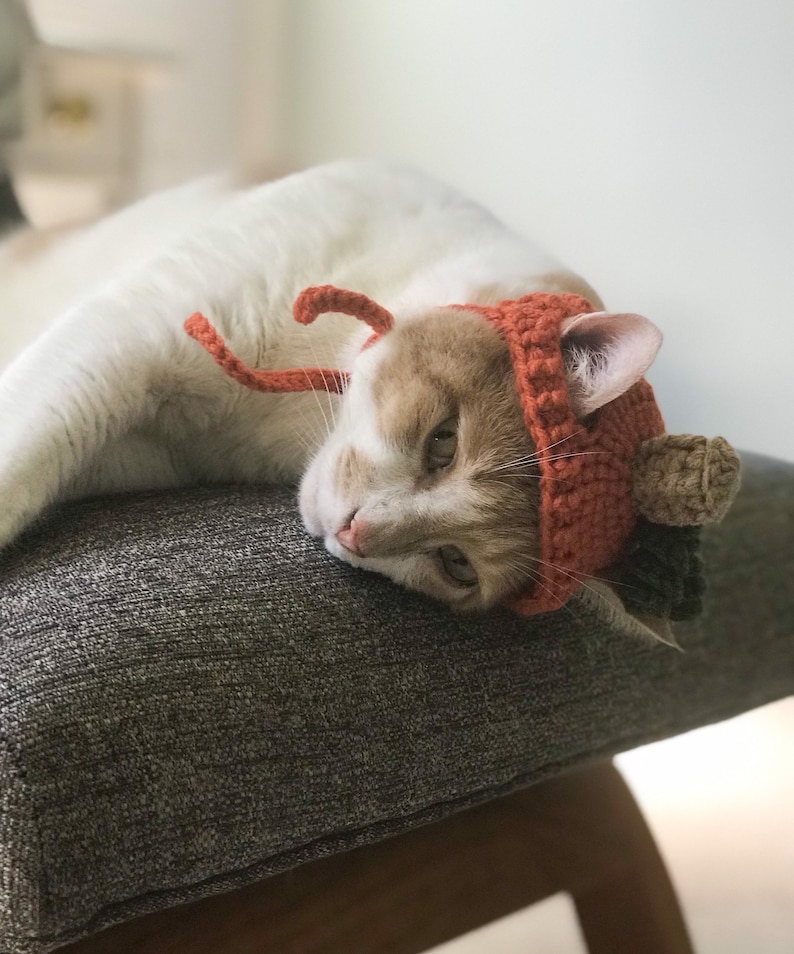 Chapeau de chat de citrouille, chapeau danimal familier, accessoires danimal familier, chapeau pour chats, costume de chat, cadeau pour chats, vêtements danimal familier, crochet, costume dHalloween de chat, chapeau de chat image 2