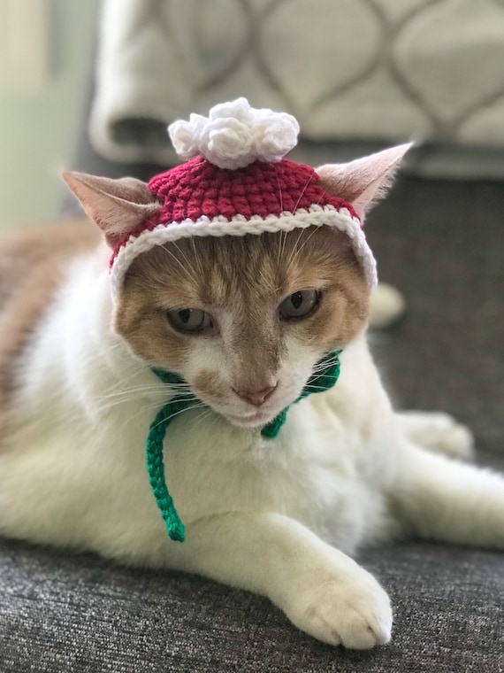 Cappello gatto di Natale, cappello per animali domestici, accessori per  animali domestici, cappello per gatti, costume