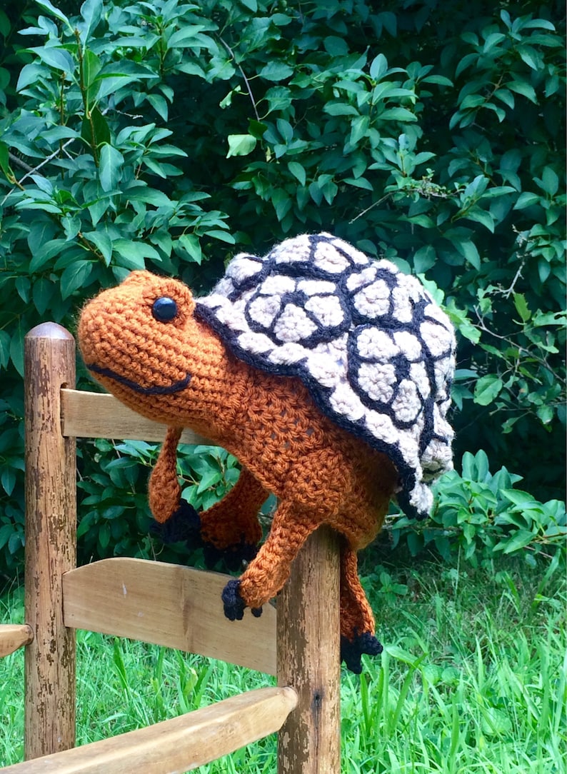 Turtle Hat, Wood Turtle, Crochet Beanie, Gift, Halloween, Christmas, Men, Women, Boys, Girls, Animal Hat, Fun, Gag Gift image 1