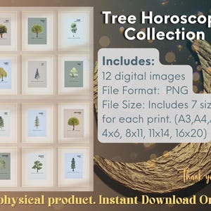 Paquete de símbolos del árbol astrológico sagrado: impresiones de signos del zodíaco para horóscopos personales y decoración inspirada en la naturaleza