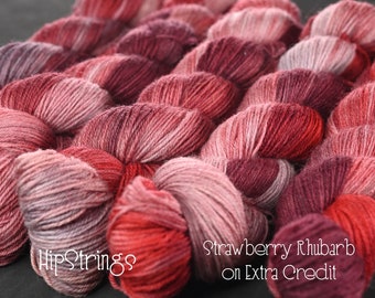 Strawberry Rhubarb on Extra Credit SW BFL Nylon Sock yarn - 437 yd/100g