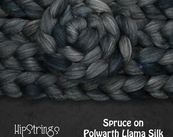 Spruce on Hand Dyed Polwarth Wool Llama Silk Combed Top - 4 oz