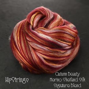 Autumn Beauty Merino Shetland wool Silk Custom Blended Top - 4 oz