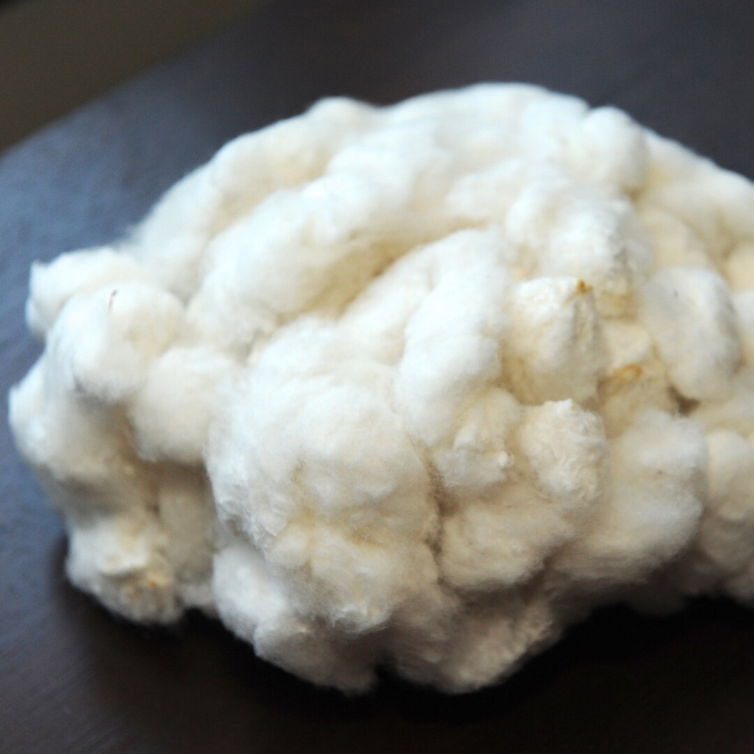 Domestic Seed Cotton 4 Oz Etsy