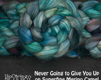 Never Going to Give You Up on Hand Dyed Superfine Merino Camel Combed Top - 4 oz
