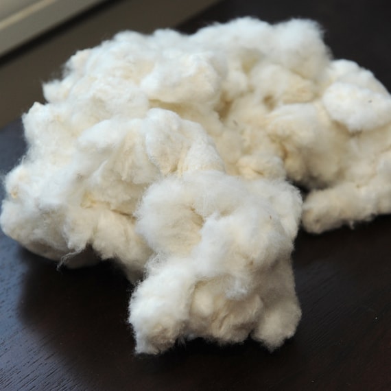 Inländische Samen-Baumwolle oz