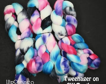 Teenager on Hand Dyed Superwash Targhee Wool Combed Top - 4 oz