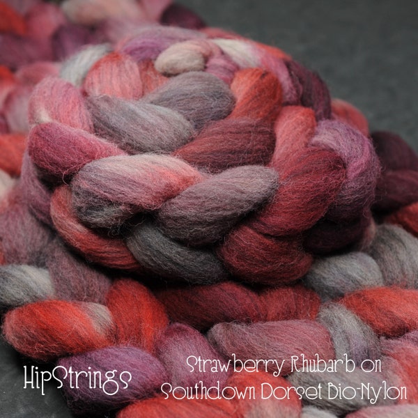 Strawberry Rhubarb on Hand Dyed Southdown Wool Dorset Wool Bio-Nylon Combed Top - 4 oz