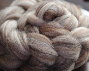 Otter (Buoy Blend Shetland/BFL/Manx Loaghtan Wool Combed Top) 4 oz