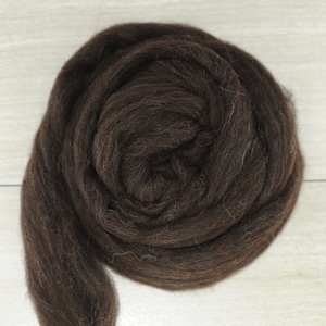 Zwartbles Wool Combed Top - 4 oz