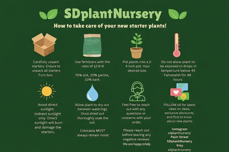 The image is an infographic titled "SDplant Nursery" that provides tips on how to take care of new starter plants. It includes illustrations of a box of starter, a bag of fertilizer, a potted plant, a thermometer, a watering can, and a sunflower. The infographic provides advice on how to properly pack and use fertilizers, avoid direct sunlight, and maintain the soil moisture for optimal plant growth.