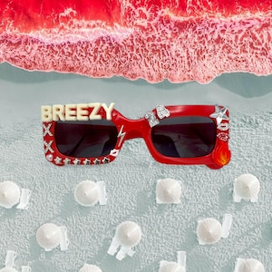 Chris Brown Inspired Concert Sunglasses- Breezy Bowl XX Tour