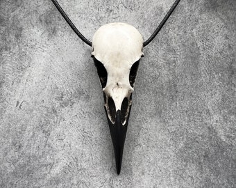 Raven Skull Necklace Resin Bone Jewelry, Bird Skull, Gothic Jewelry, Goth Gift, Oddities Curiosities, Witchy, Viking Pendant, 2.75" Size